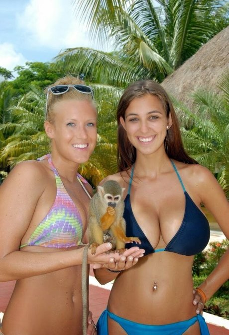 足を舐めるオンリーファンズ アダルト 写真