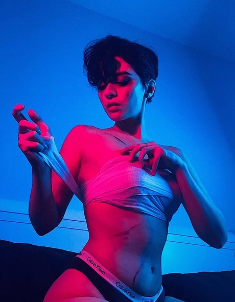 Vain Virgo HDモデル 写真