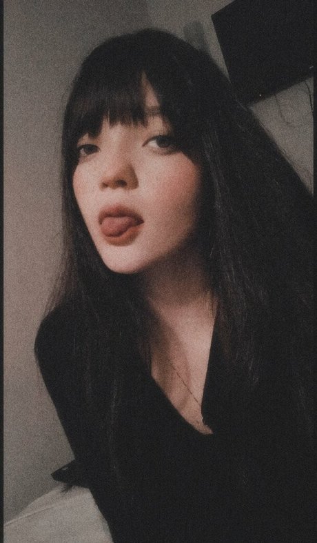 pietrafiore かわいいスター 写真