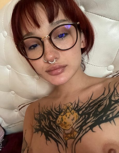 littlewetgirl 素敵なスター 写真