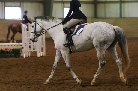 太ったおばあちゃんオンリーファンズ 無料ポルノ 写真