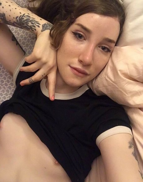 Basilstrawberry 完璧なスター 写真