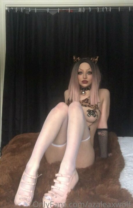 Azaleax Wolf 独占モデル 画像