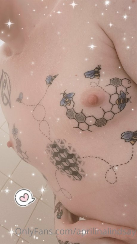 ディックスオンリーファンズ 美しい 写真