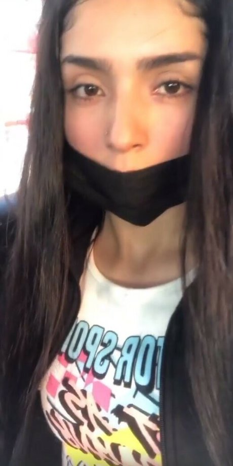 Flores Isabella98 高品質スター 画像