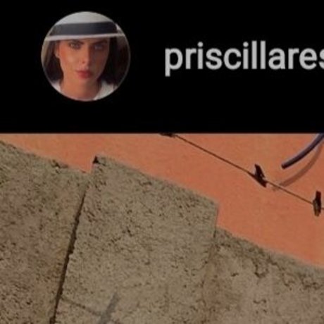 priscillaresend アートポルノスター アーカイブ
