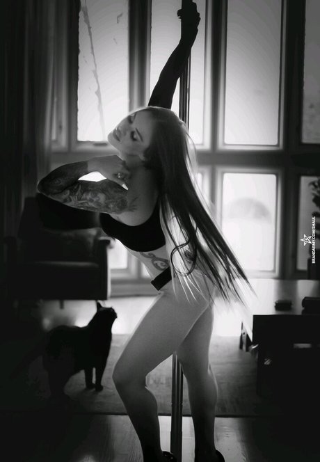 Shaul Guerrero トップスター ギャラリー