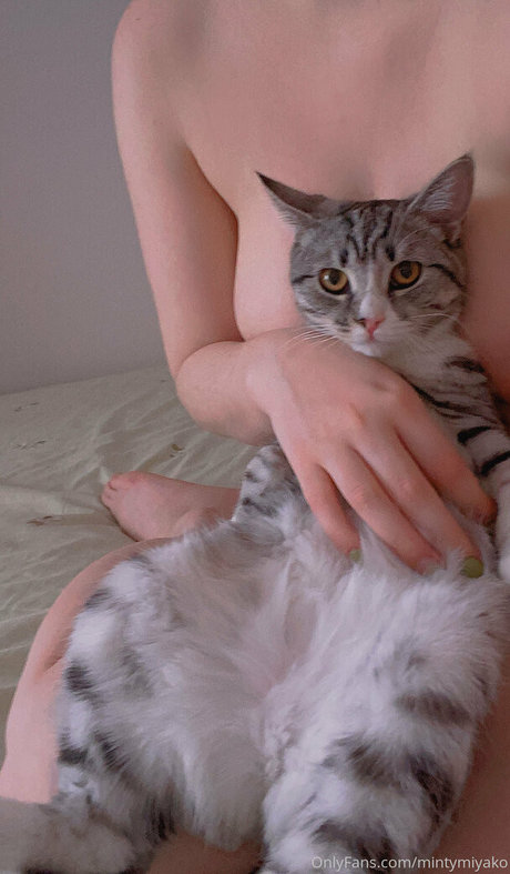 有名なレディボーイオンリーファンズ ポルノ 画像