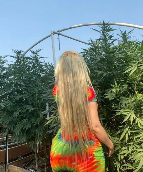 amethystfaymusic トップスター 画像