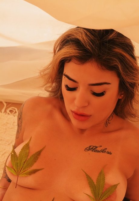 Brunna Hollinger 素敵なポルノスター 写真
