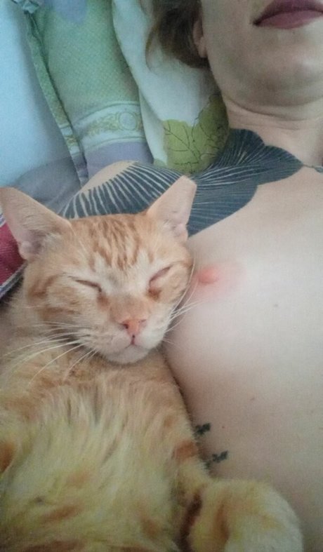 Freya Volt ポルノスター 無料 写真