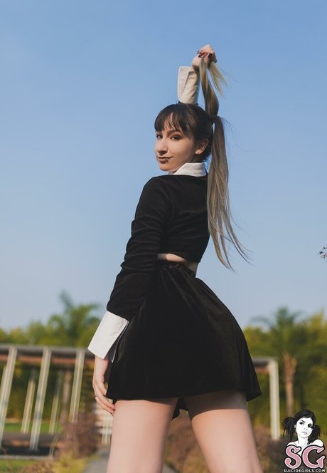 Aeterna 高品質のスター 写真