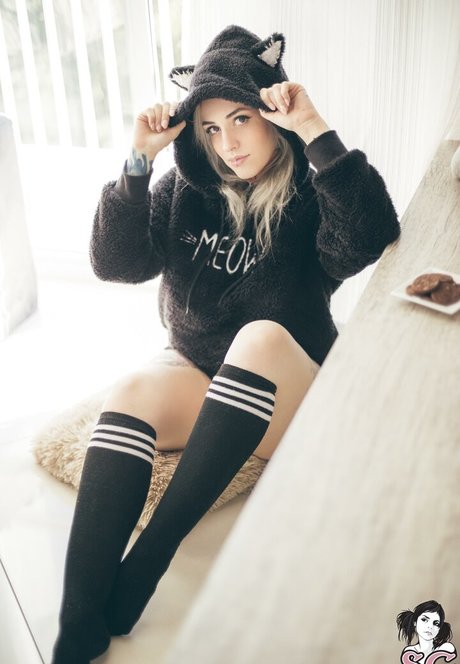 Majora Suicide ホットスター ギャラリー