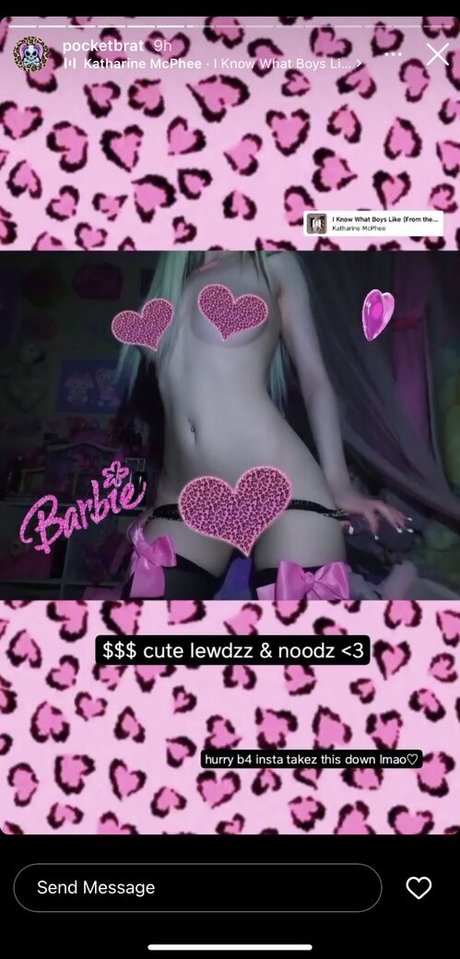 pocketbrat 高品質女優 写真
