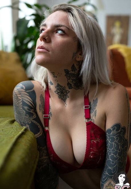 Cori SG XXXモデル 写真