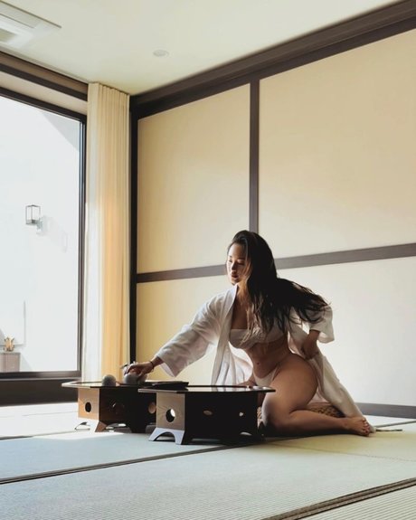 天然黒檀オンリーファンズ 美しい 写真