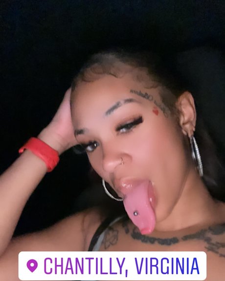 Cynthia Rose ホットなスター 画像