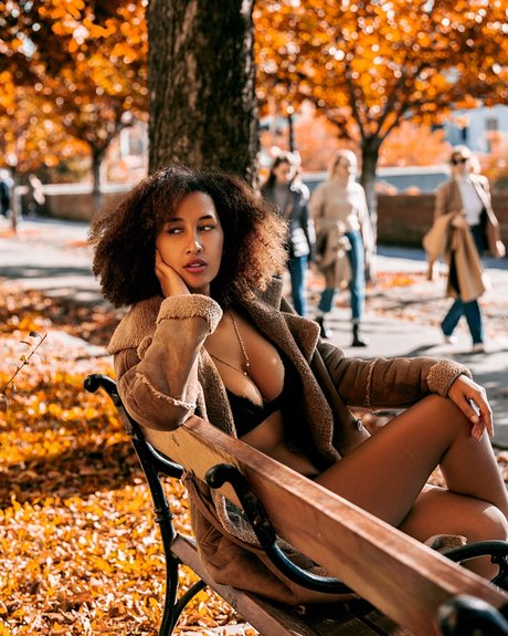 Hey Solange HDモデル 写真