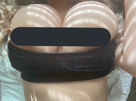 Stace 高品質モデル 写真