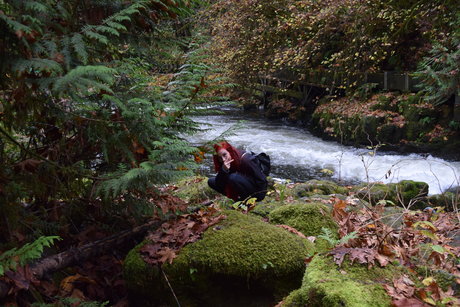 Bella Tha Killa セックス女優 写真