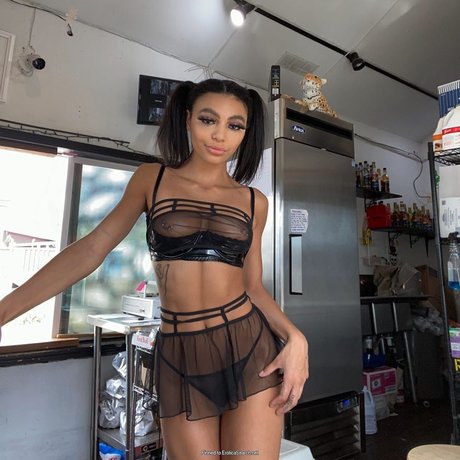 WhoreGore トップポルノスター 写真