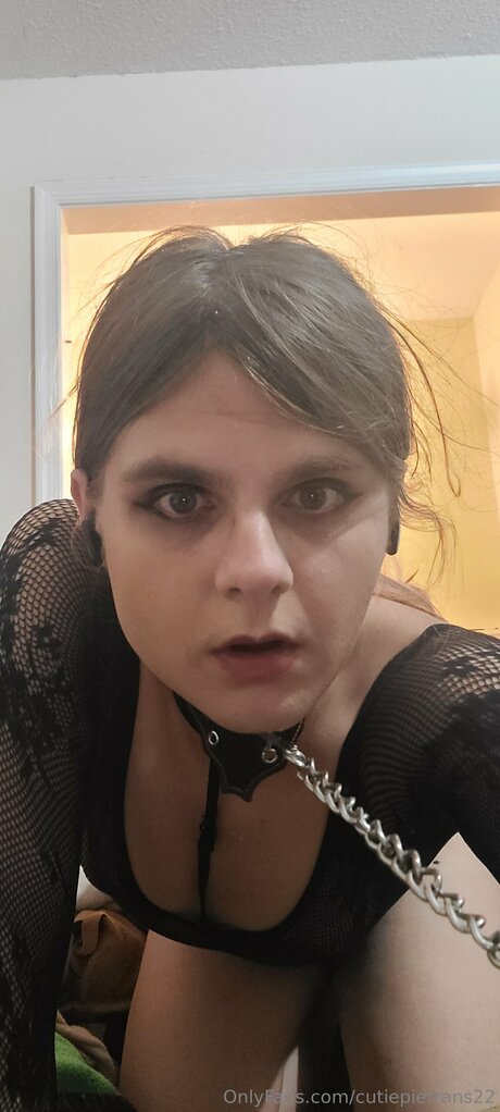 Cutiepietrans22 高品質スター 写真