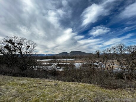 Billabongbandaid スター ヌード 写真
