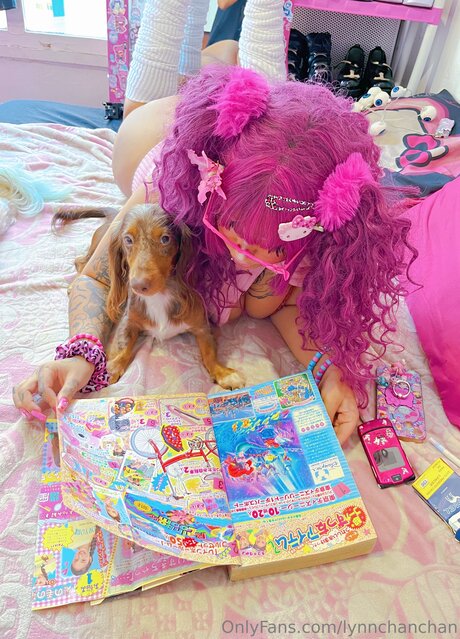 Lynnchanchan アートスター 写真