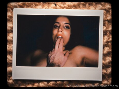 Thecarnalcamera セックススター 画像