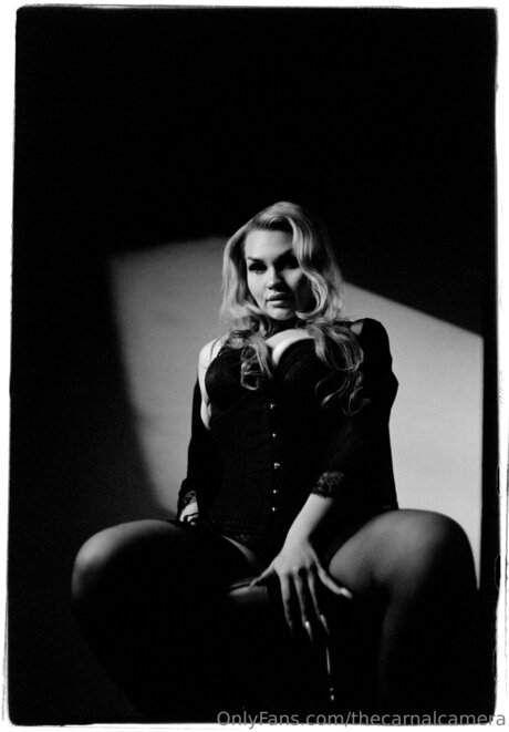 Thecarnalcamera 美しいスター 写真