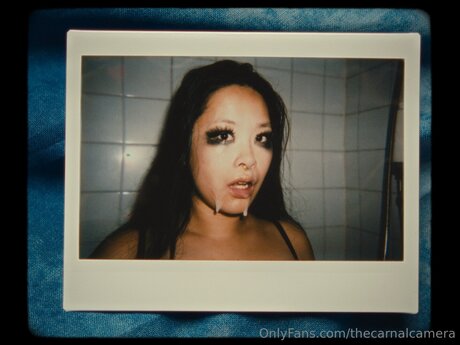 Thecarnalcamera かわいいスター 画像