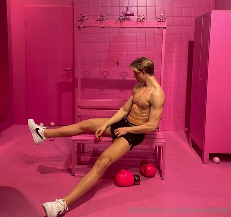 Toranrohdefree HDスター 写真