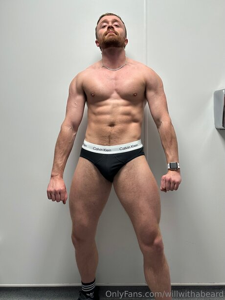 Willwithabeard ホットスター 写真