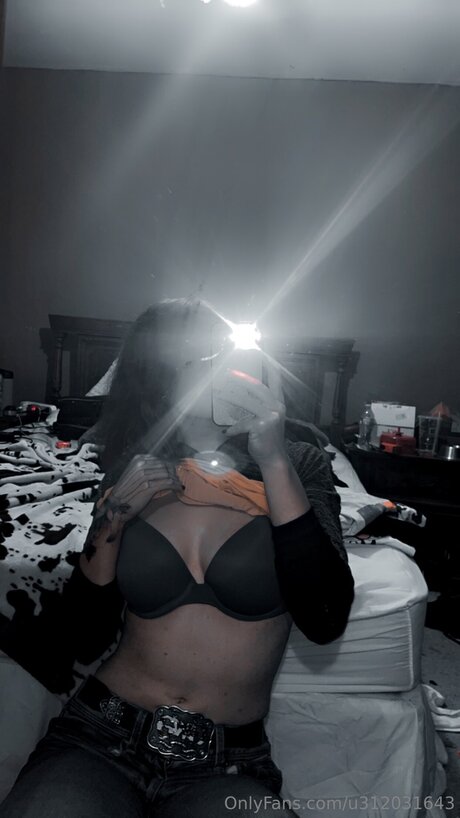 U312031643 美しいスター 写真