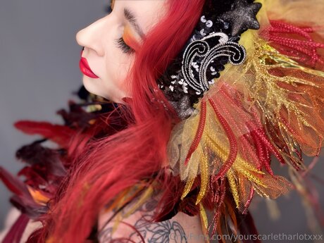 男性ストレートオンリーファンズ トップ ギャラリー