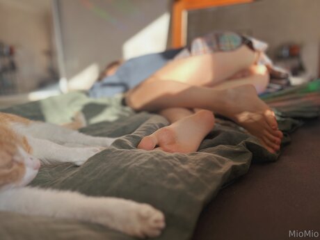 Miomio Uwu 最高のスター 画像