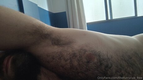 Thefurrycub Free 高品質スター 画像