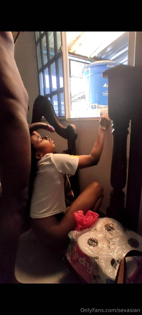 Sexasian 完璧なスター 写真