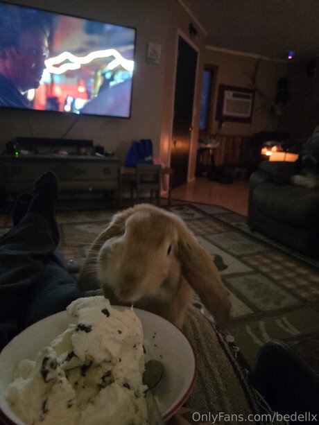 Bedellx ポルノスター セクシー 写真