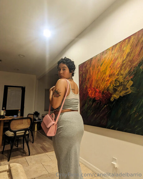 Canelitaladelbarrio ポルノスター 高品質 写真