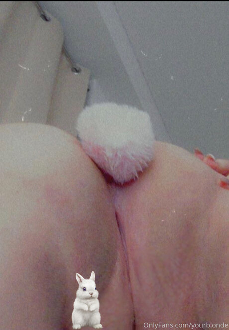 Yourblonde ポルノスター ベスト 写真