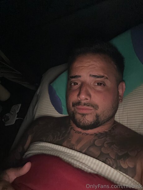 Nicoink 高品質モデル 画像