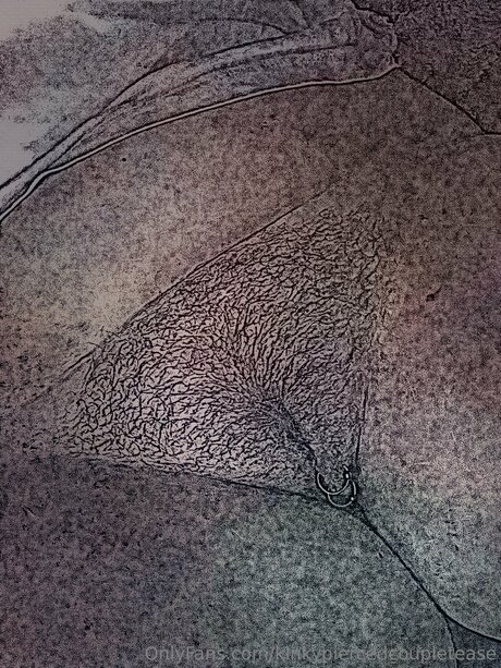 Kinkypiercedcoupletease xxxモデル 画像