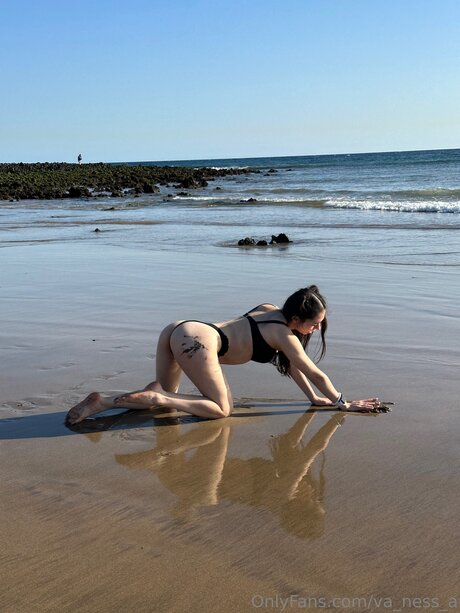 Va Ness A セックススター 写真