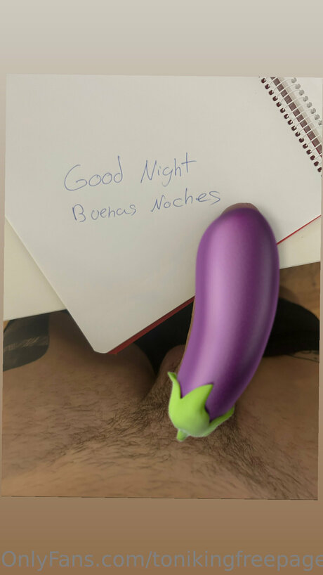 Tonikingfreepage トップモデル 写真