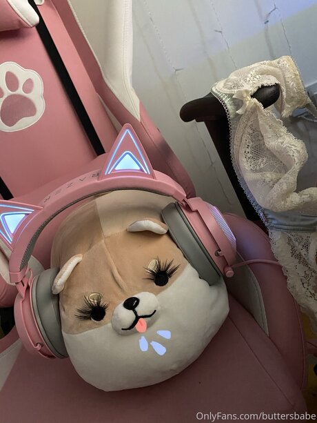 Zaykap アートモデル 写真