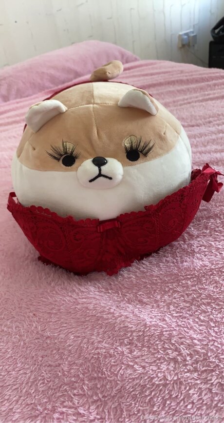 Zaykap 美しいモデル 画像