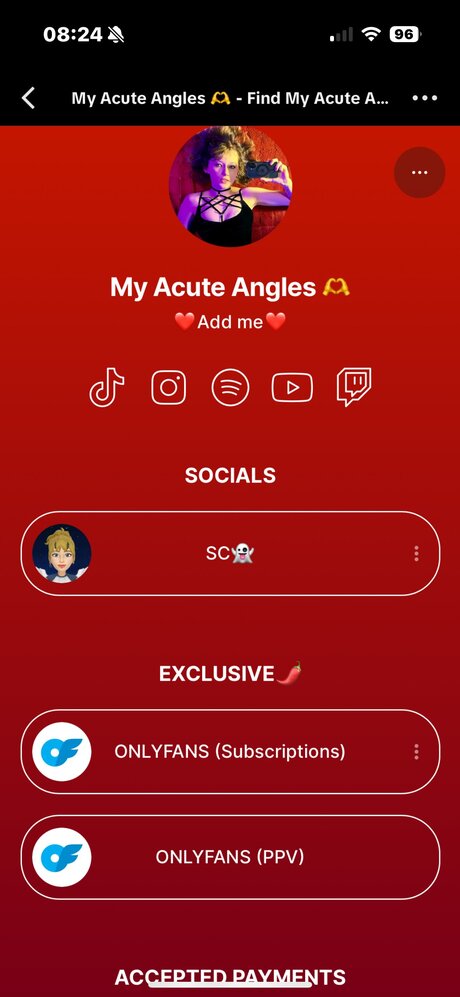 Angelorangle アートスター 写真