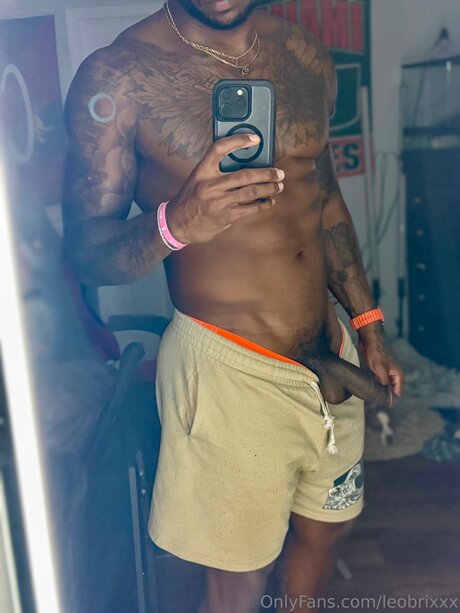 Leobrixxx xxxスター 画像