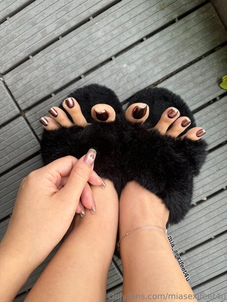 Miasexifeet4u HDスター 画像